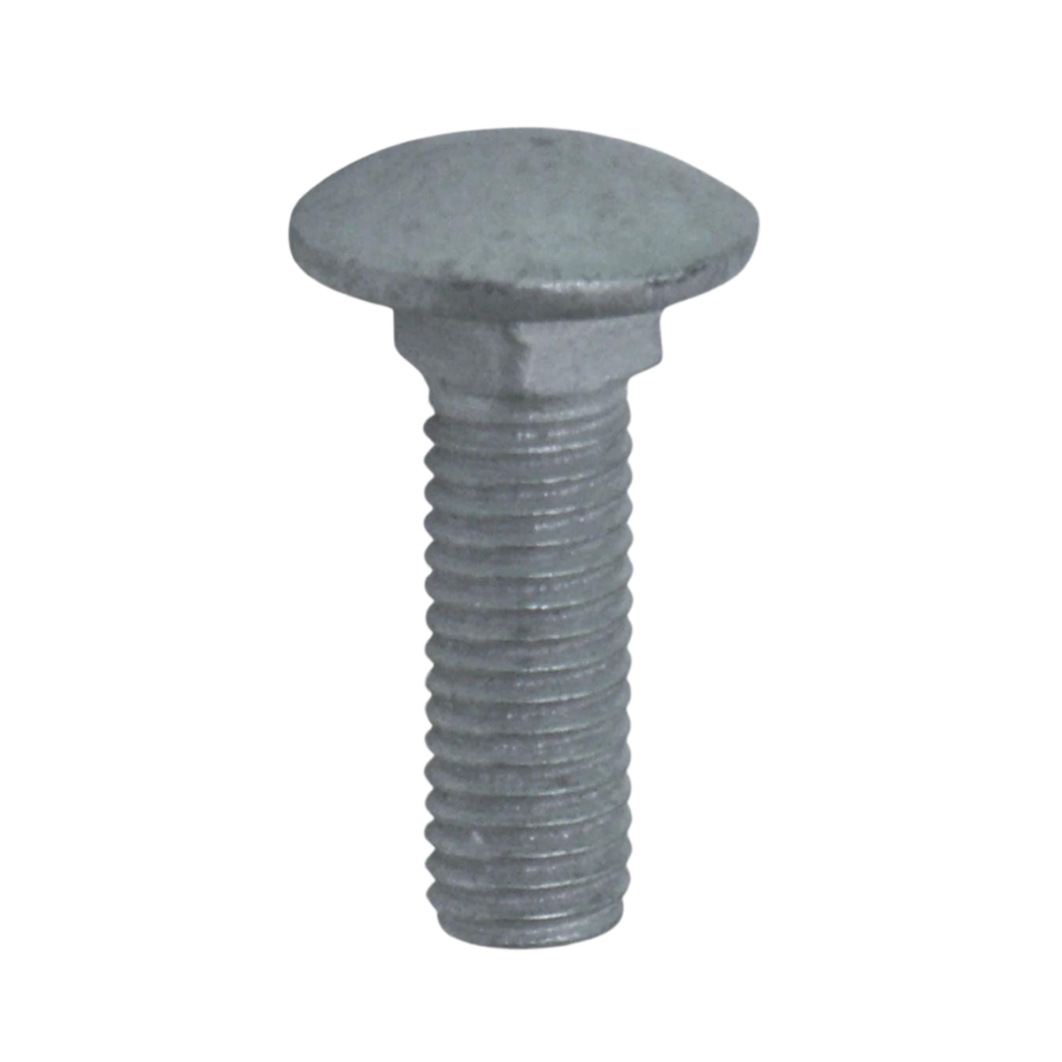 M10X32mm Gal Cup Head Bolt And Nut