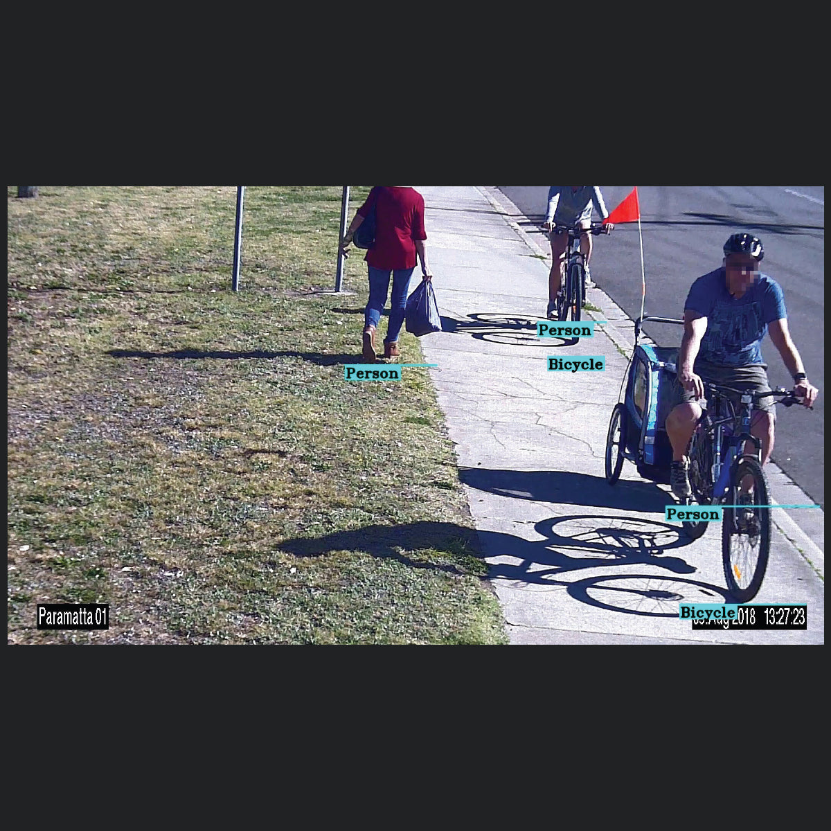 Intelligent Vision Monitoring System