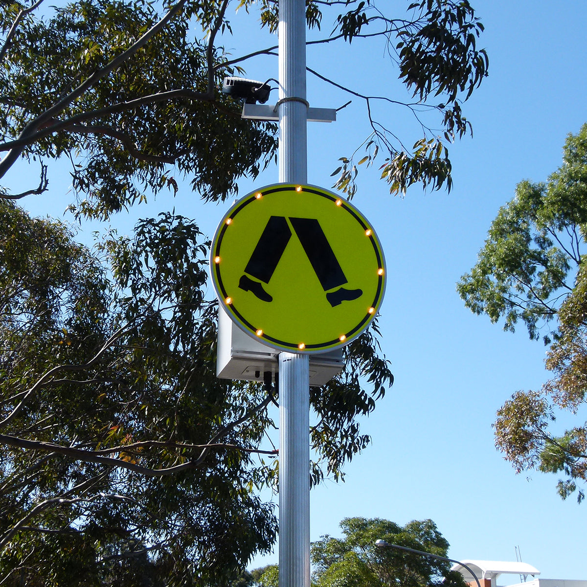 Flashing Pedestrian Crossing Signs
