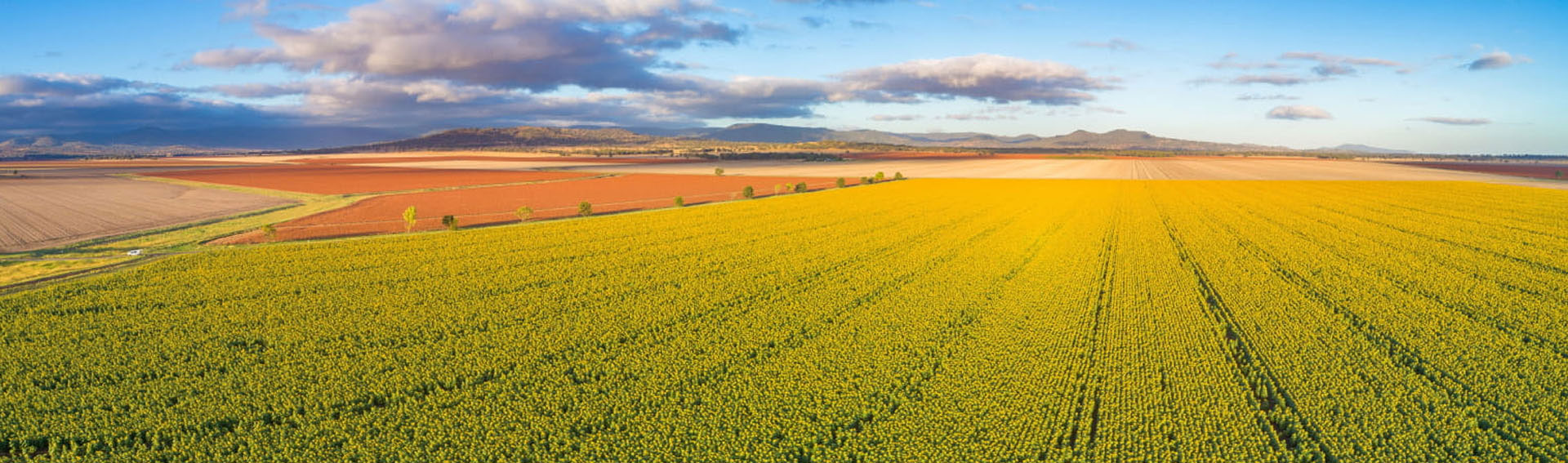Liverpool Plains Shire Council