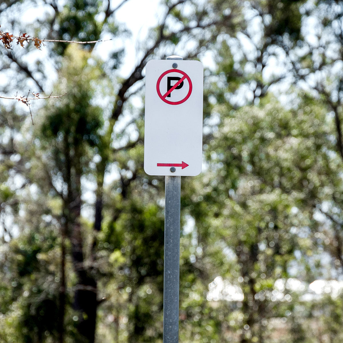 No Parking Sign Right