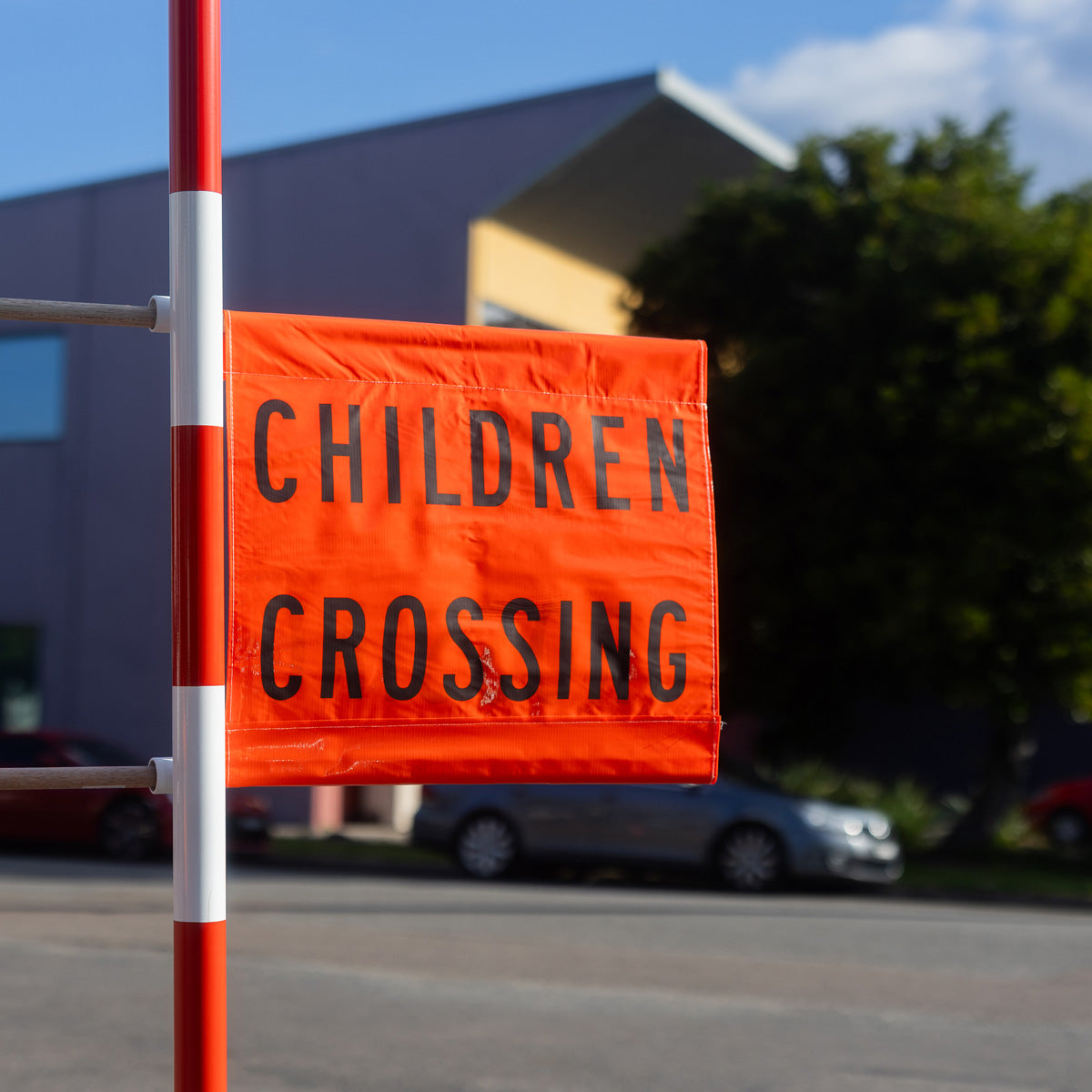 Children Crossing Flag