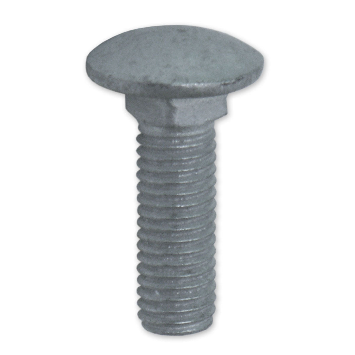 M10X32mm Gal Cup Head Bolt And Nut (200 Box)